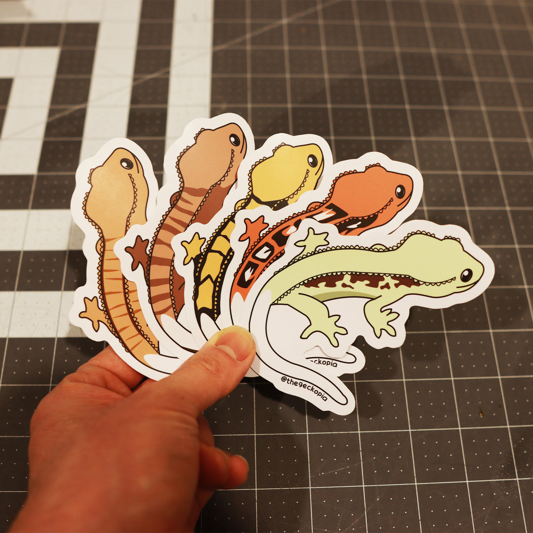 Crested Gecko Morph Stickers/ Decals – Geckopia