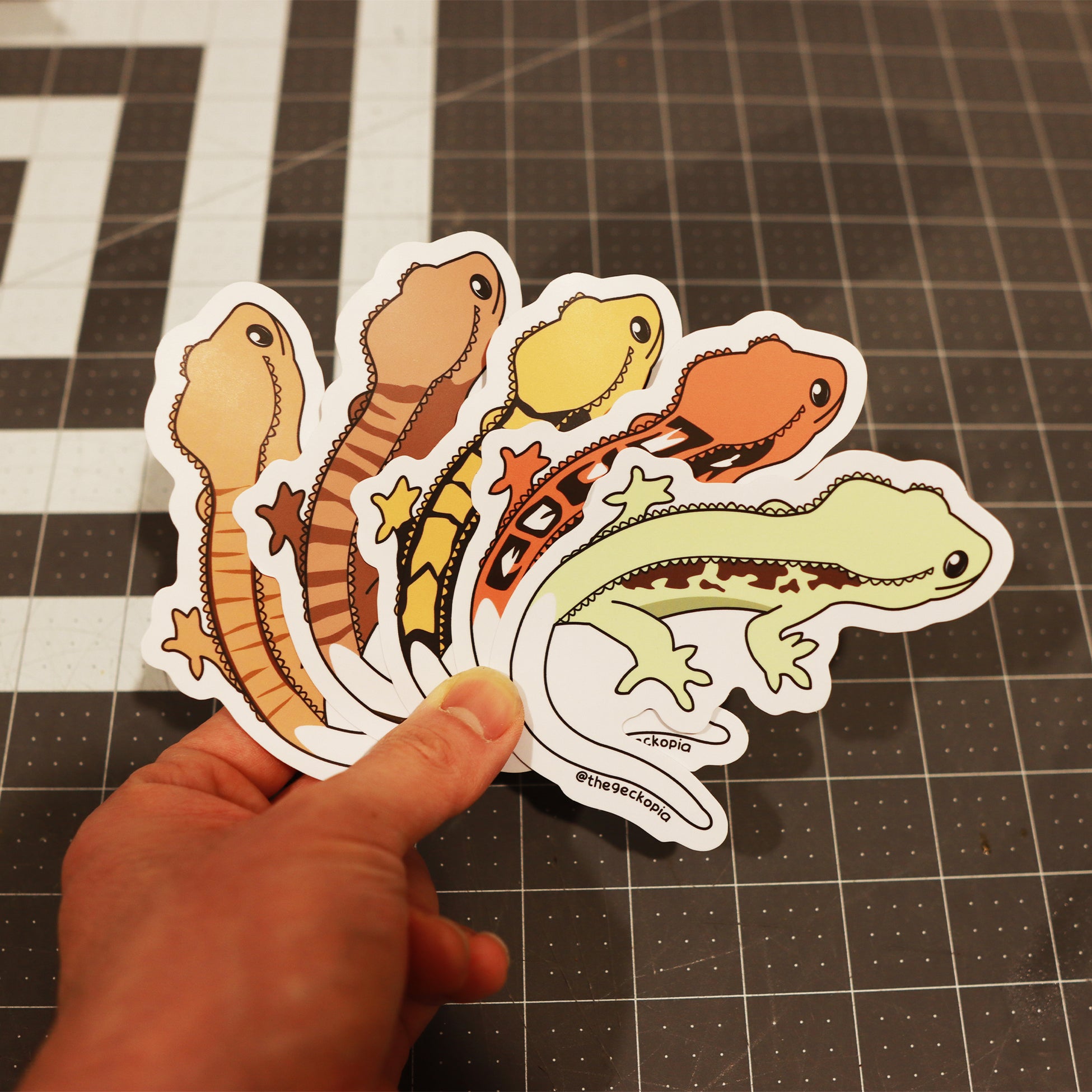Crested Gecko Morph Stickers/ Decals – Geckopia