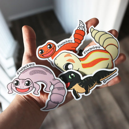 RED EYED CROCODILE SKINK STICKER/ DECALS