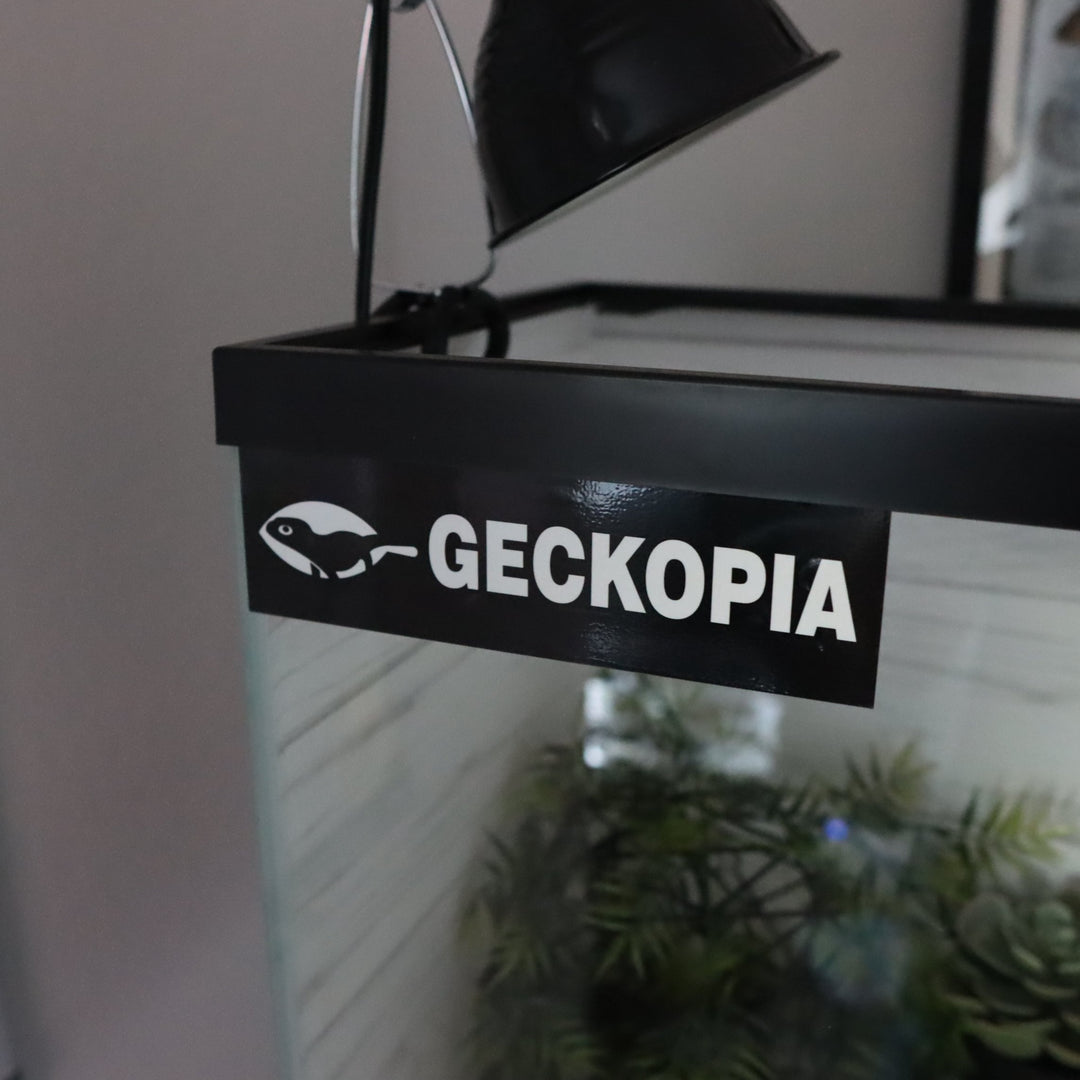 Geckopia Bumper Sticker