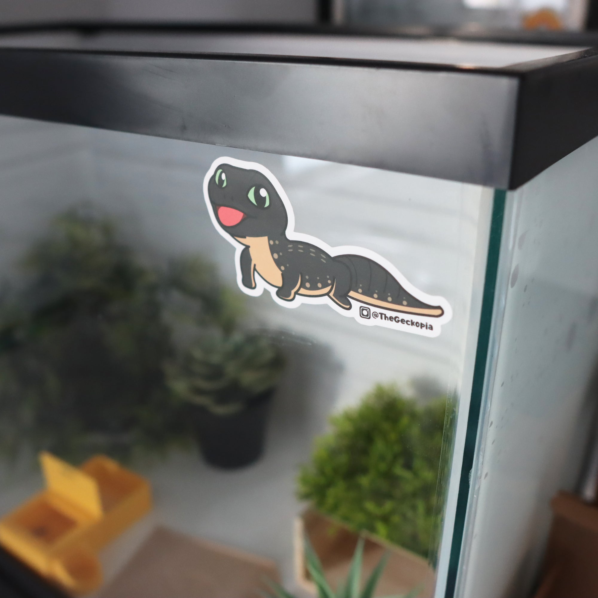 Leopard Gecko Morph Sticker/ Decals – Geckopia