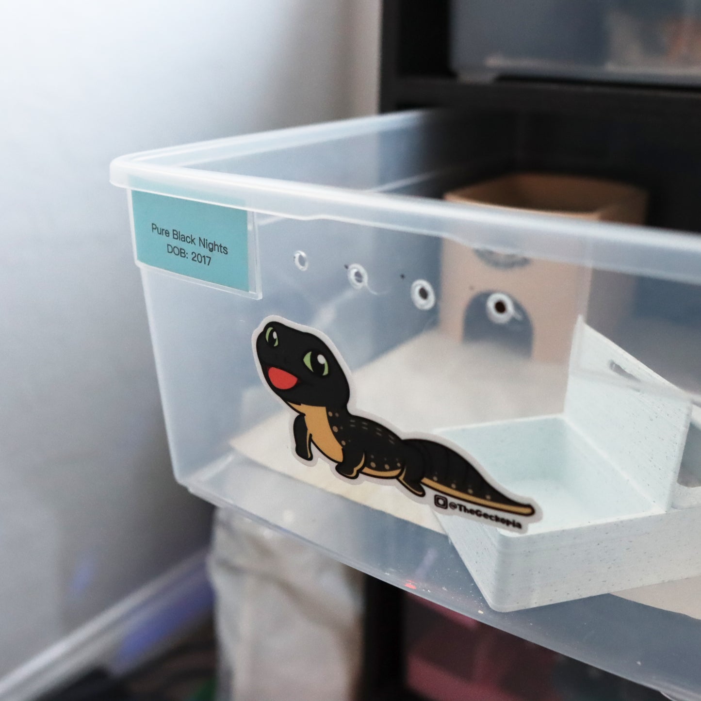 Leopard Gecko Morph Sticker/ Decals