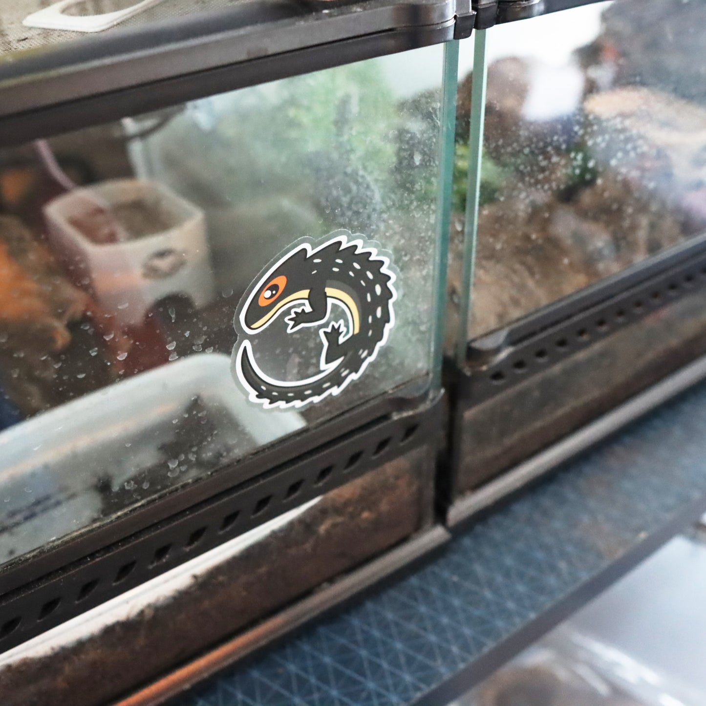 RED EYED CROCODILE SKINK STICKER/ DECALS